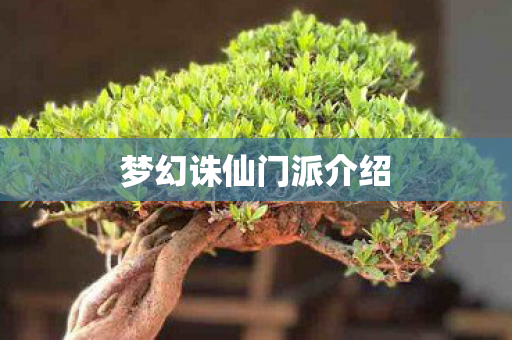 梦幻诛仙门派介绍