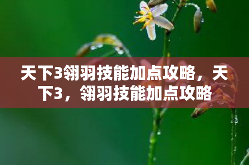 天下3翎羽技能加点攻略，天下3，翎羽技能加点攻略