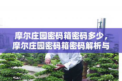 摩尔庄园密码箱密码多少，摩尔庄园密码箱密码解析与攻略