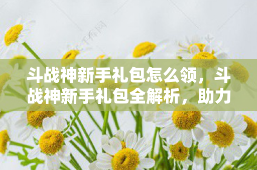 斗战神新手礼包怎么领，斗战神新手礼包全解析，助力你的游戏启程