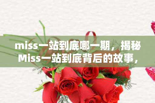 miss一站到底哪一期，揭秘Miss一站到底背后的故事，从初露锋芒到成为知识巅峰的历程