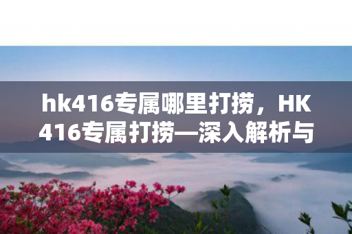 hk416专属哪里打捞，HK416专属打捞—深入解析与实战攻略