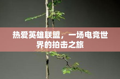 热爱英雄联盟，一场电竞世界的拍击之旅