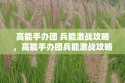 高能手办团 兵能激战攻略，高能手办团兵能激战攻略