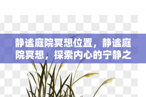 静谧庭院冥想位置，静谧庭院冥想，探索内心的宁静之道