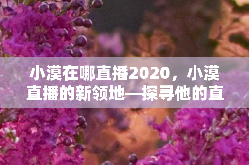 小漠在哪直播2020，小漠直播的新领地—探寻他的直播世界