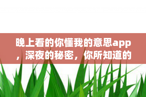 晚上看的你懂我的意思app，深夜的秘密，你所知道的世界背后隐藏的真相