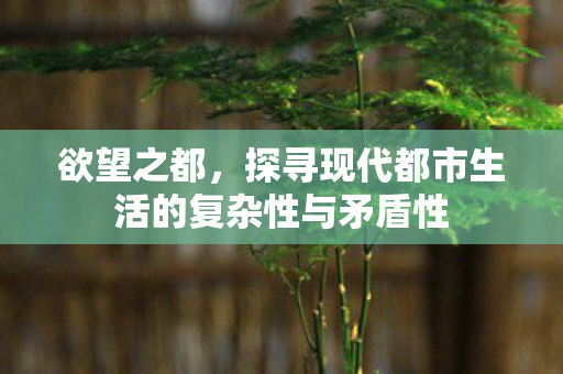 欲望之都，探寻现代都市生活的复杂性与矛盾性