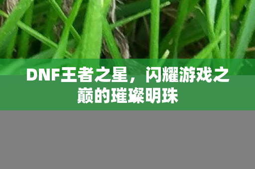 DNF王者之星，闪耀游戏之巅的璀璨明珠