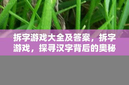拆字游戏大全及答案，拆字游戏，探寻汉字背后的奥秘与文化智慧