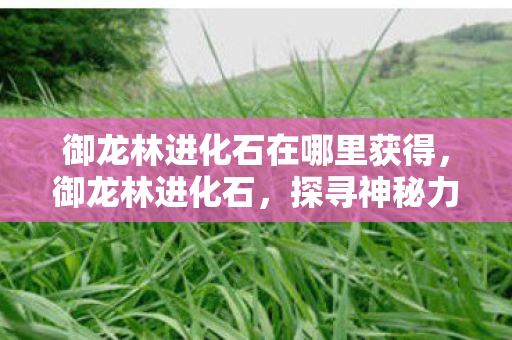 御龙林进化石在哪里获得，御龙林进化石，探寻神秘力量的起源