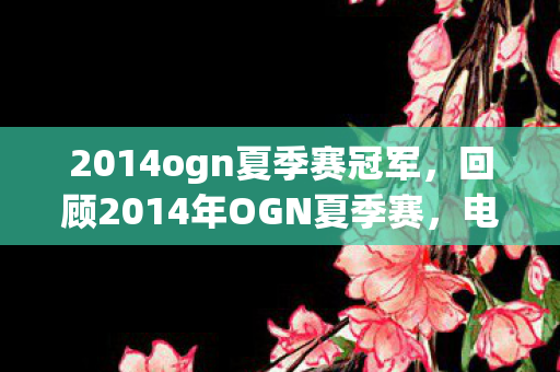 2014ogn夏季赛冠军，回顾2014年OGN夏季赛，电竞盛宴的辉煌时刻