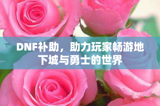 DNF补助，助力玩家畅游地下城与勇士的世界