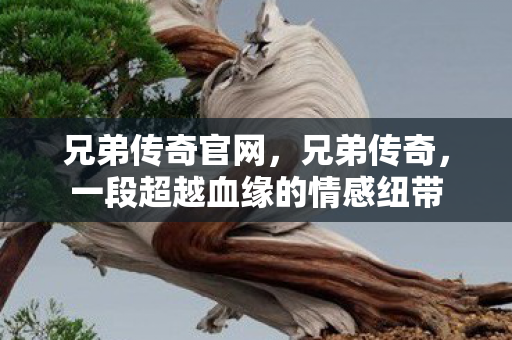 兄弟传奇官网，兄弟传奇，一段超越血缘的情感纽带