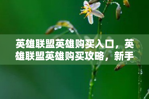 英雄联盟英雄购买入口，英雄联盟英雄购买攻略，新手入门指南