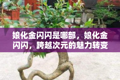 娘化金闪闪是哪部，娘化金闪闪，跨越次元的魅力转变