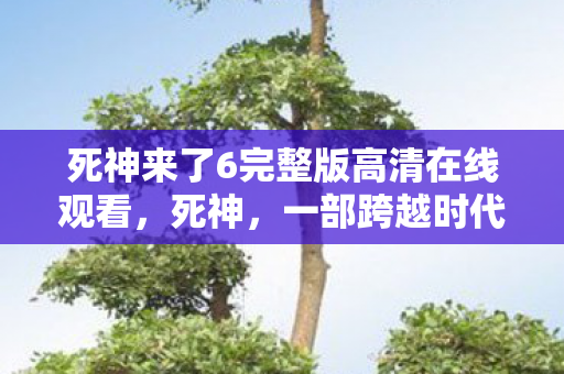 死神来了6完整版高清在线观看，死神，一部跨越时代的经典之作
