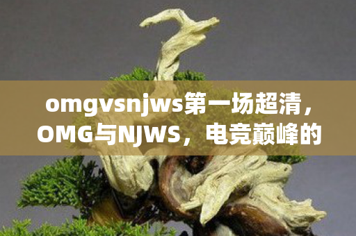 omgvsnjws第一场超清，OMG与NJWS，电竞巅峰的对决