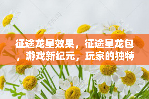 征途龙星效果，征途星龙包，游戏新纪元，玩家的独特体验