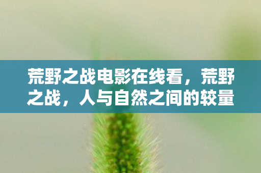 荒野之战电影在线看，荒野之战，人与自然之间的较量与共生