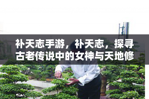 补天志手游，补天志，探寻古老传说中的女神与天地修复之旅