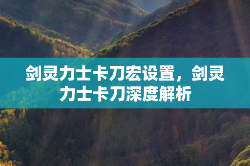 剑灵力士卡刀宏设置，剑灵力士卡刀深度解析