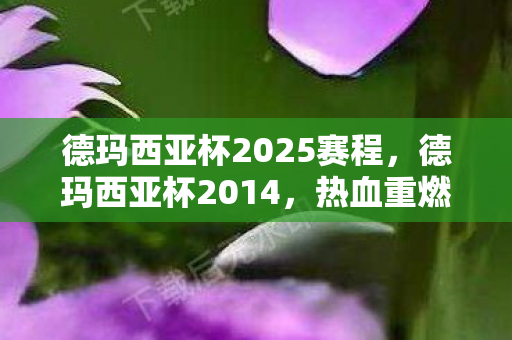 德玛西亚杯2025赛程，德玛西亚杯2014，热血重燃，英雄荣耀归来