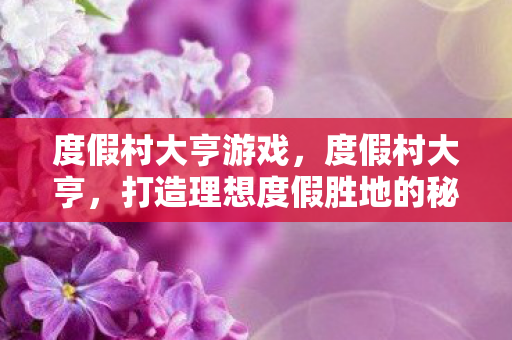 度假村大亨游戏，度假村大亨，打造理想度假胜地的秘密武器