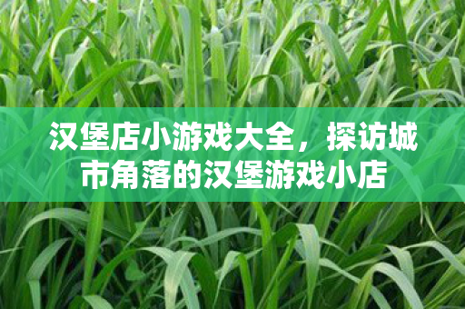 汉堡店小游戏大全，探访城市角落的汉堡游戏小店