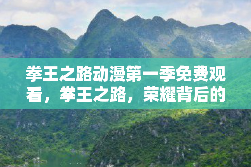 拳王之路动漫第一季免费观看，拳王之路，荣耀背后的艰辛与挑战