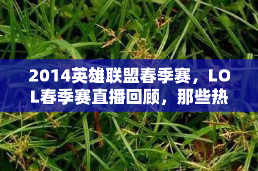 2014英雄联盟春季赛，LOL春季赛直播回顾，那些热血沸腾的瞬间（2014年）