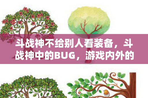 斗战神不给别人看装备，斗战神中的BUG，游戏内外的挑战与应对之道