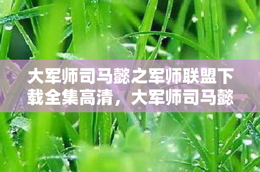 大军师司马懿之军师联盟下载全集高清，大军师司马懿之军师联盟，深度解析三国背景下的策略战争与英雄传奇