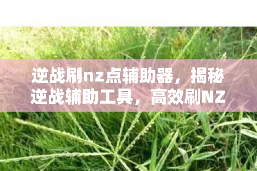 逆战刷nz点辅助器，揭秘逆战辅助工具，高效刷NZ点攻略
