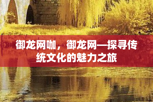 御龙网咖，御龙网—探寻传统文化的魅力之旅