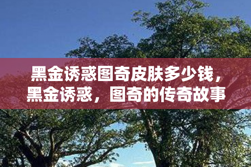 黑金诱惑图奇皮肤多少钱，黑金诱惑，图奇的传奇故事
