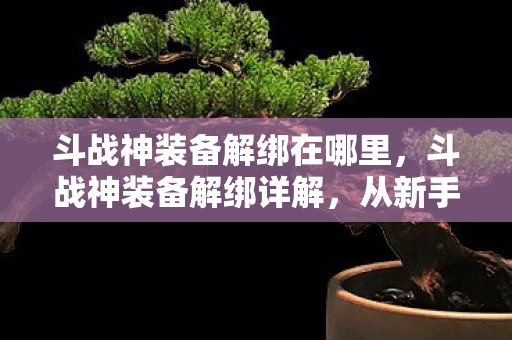 斗战神装备解绑在哪里，斗战神装备解绑详解，从新手到高手的全方位指南