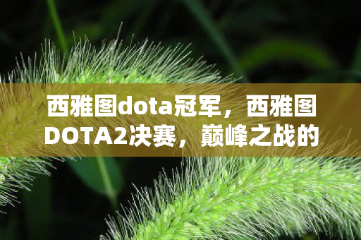 西雅图dota冠军，西雅图DOTA2决赛，巅峰之战的荣耀与传奇