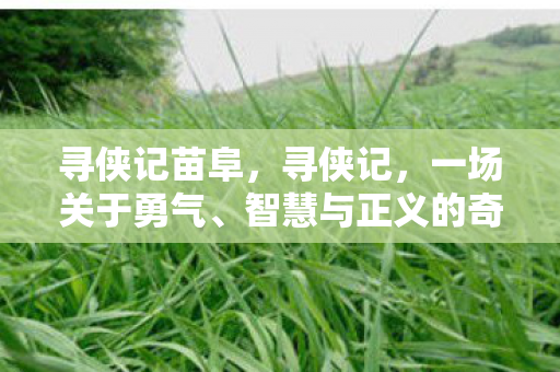 寻侠记苗阜，寻侠记，一场关于勇气、智慧与正义的奇幻之旅