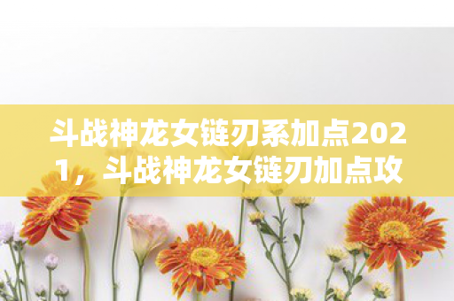 斗战神龙女链刃系加点2021，斗战神龙女链刃加点攻略