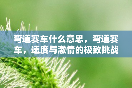 弯道赛车什么意思，弯道赛车，速度与激情的极致挑战