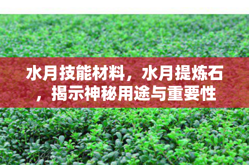 水月技能材料，水月提炼石，揭示神秘用途与重要性