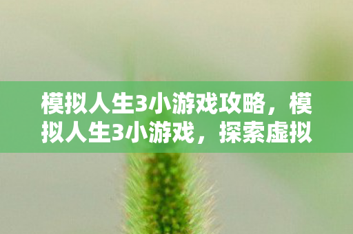 模拟人生3小游戏攻略，模拟人生3小游戏，探索虚拟世界的无限可能