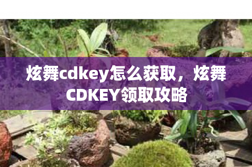 炫舞cdkey怎么获取，炫舞CDKEY领取攻略