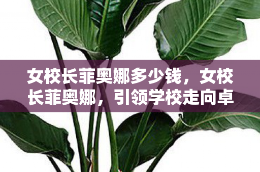 女校长菲奥娜多少钱，女校长菲奥娜，引领学校走向卓越的非凡力量