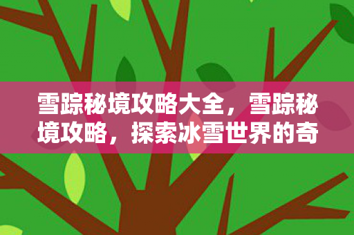 雪踪秘境攻略大全，雪踪秘境攻略，探索冰雪世界的奇幻之旅