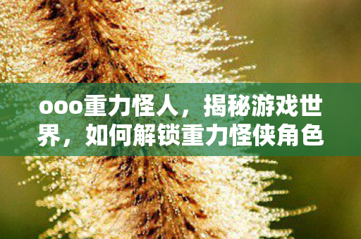 ooo重力怪人，揭秘游戏世界，如何解锁重力怪侠角色？