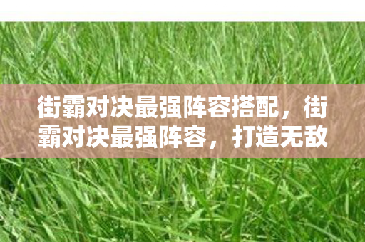 街霸对决最强阵容搭配，街霸对决最强阵容，打造无敌战斗组合