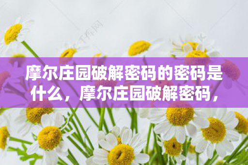 摩尔庄园破解密码的密码是什么，摩尔庄园破解密码，深度探索游戏世界的秘密