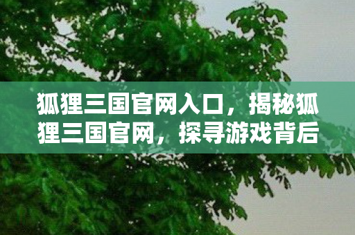 狐狸三国官网入口，揭秘狐狸三国官网，探寻游戏背后的故事与魅力